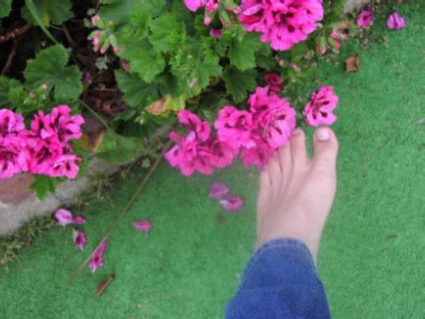 Touching flower with my feet