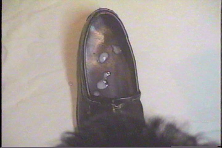 Cum inside my dress shoe