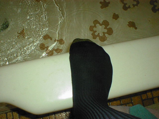 My gold toe socks