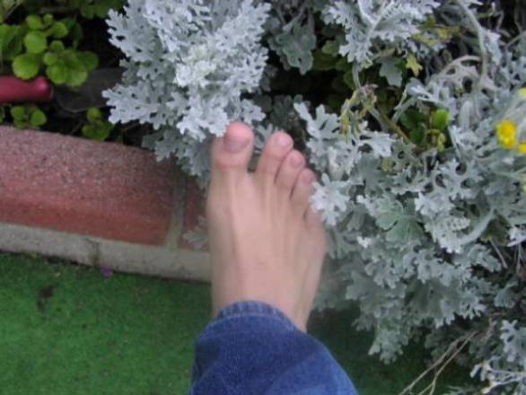 My feet in the garden